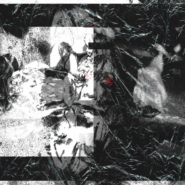 Never Moonlight cover art