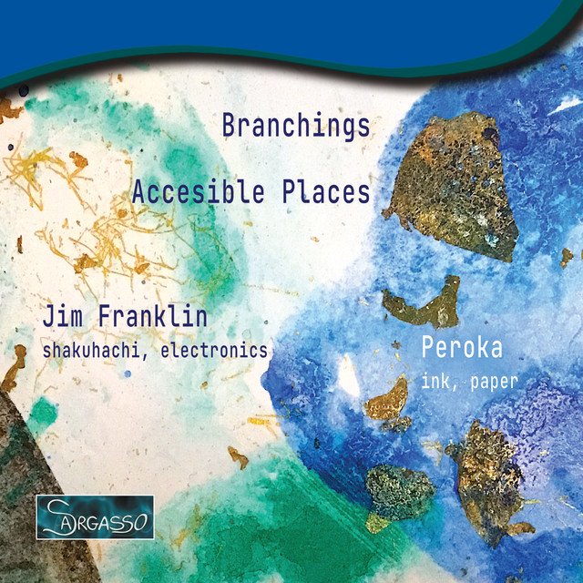 Branchings - Accessible Places cover