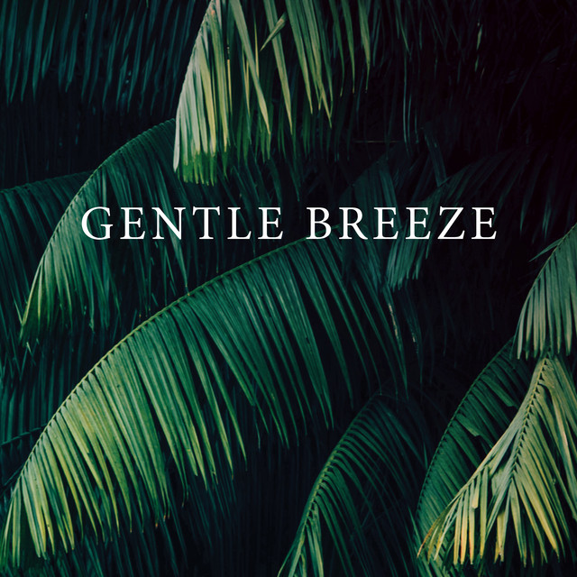 Gentle Breeze on Spotify