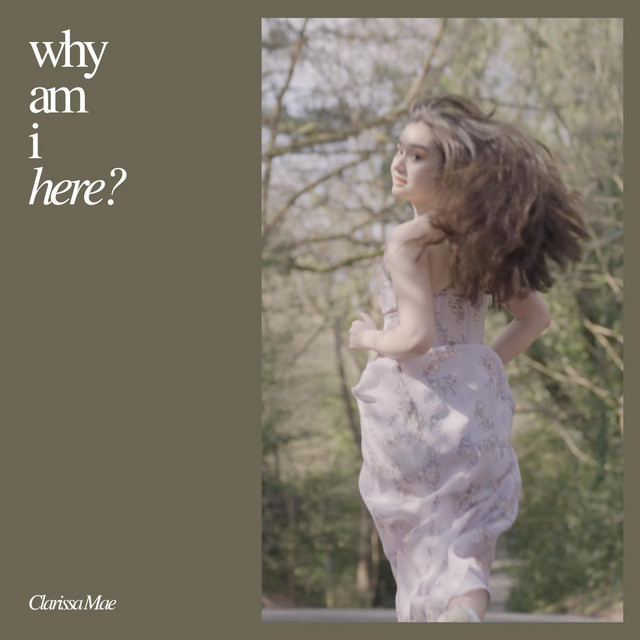 why am i here? cover