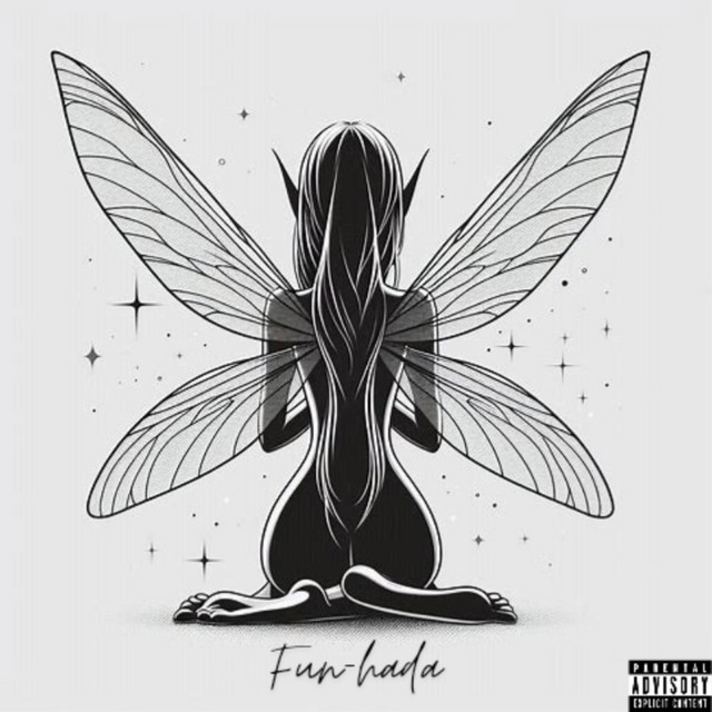 Fun hada cover art