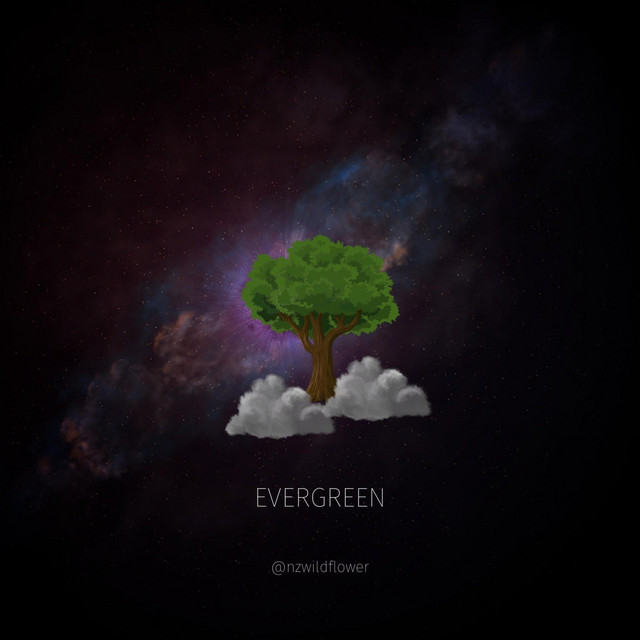 Evergreen - Single by Wildflower NZ | Spotify