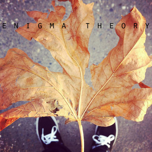 Enigma Theory cover art