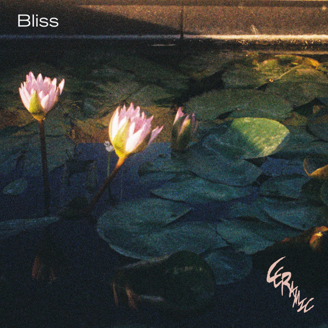 Bliss cover art