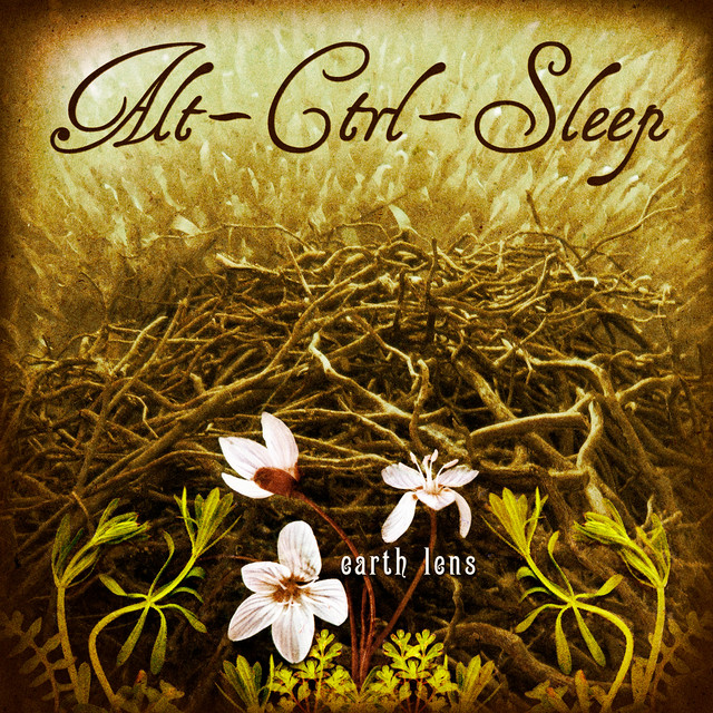 Alt-Ctrl-Sleep photo