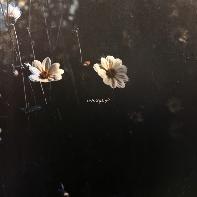 Countryside (single)
