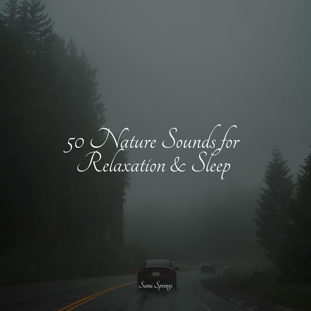 50 Nature Sounds for Relaxation & Sleep - Album by Rain Sounds & Nature ...