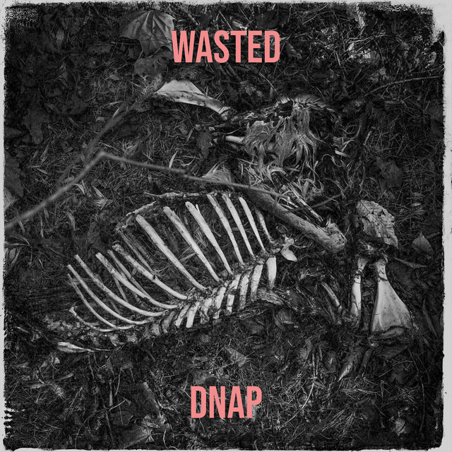 Wasted cover art