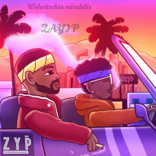 Zayi P