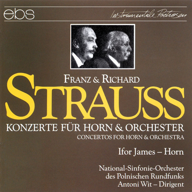 Horn Concerto in C Minor, Op. 8: I. Allegro molto - Andante cover art