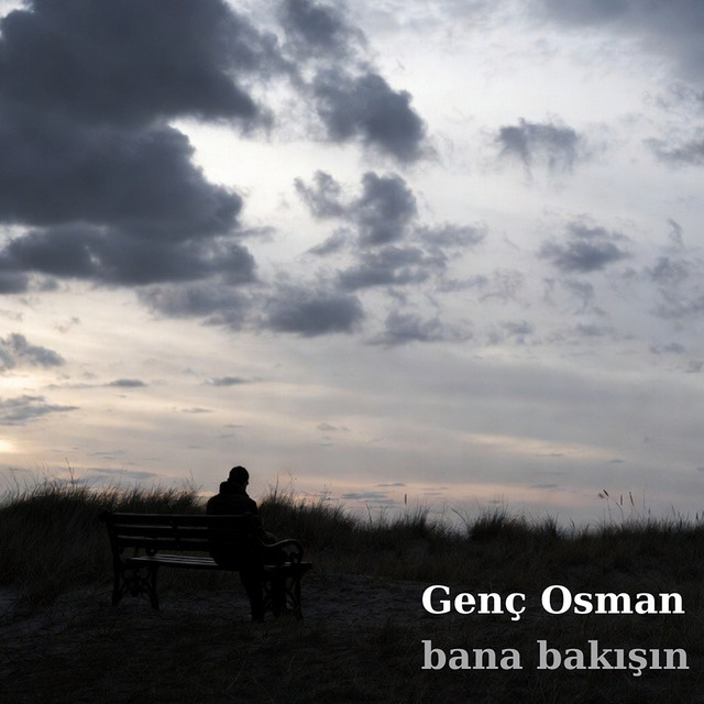 Bana Bakışın cover