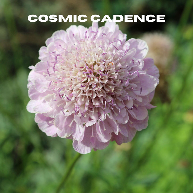 Cosmic Cadence