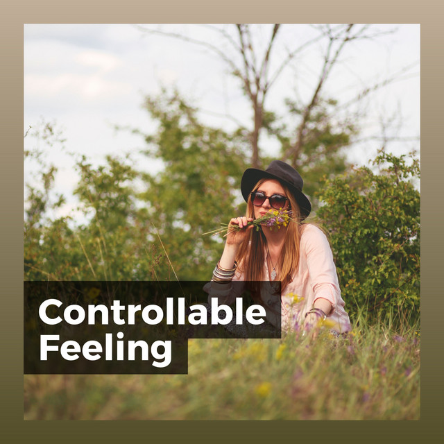 Controllable Feeling cover art