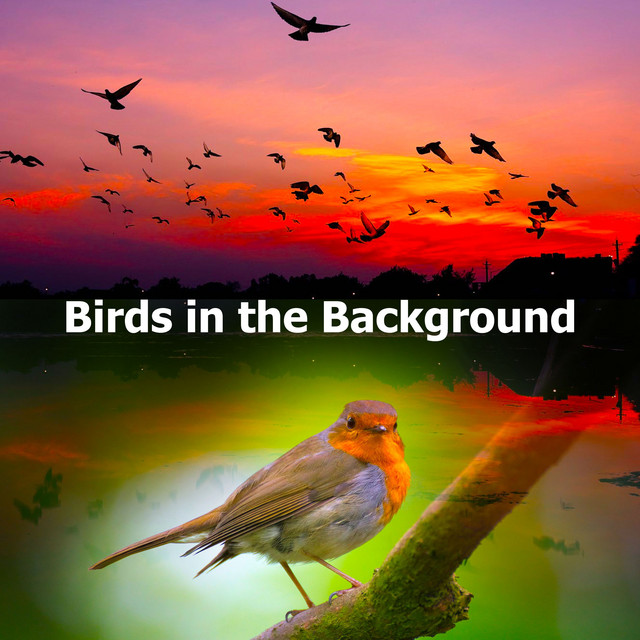 Birds in the Background cover art