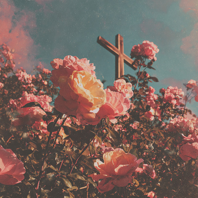 My King Is Alive! cover art