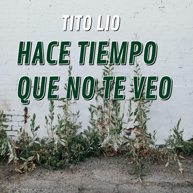 Hace Tiempo Que No Te Veo - Radio Edit