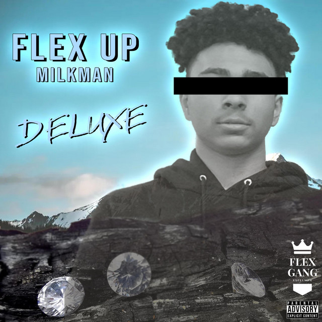Flex Up (Deluxe) cover art