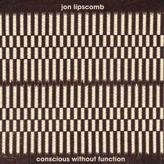 Conscious Without Function cover art