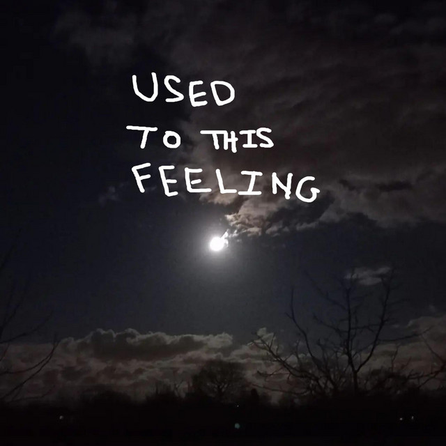 Used To This Feeling - Single by Troy Jones | Spotify