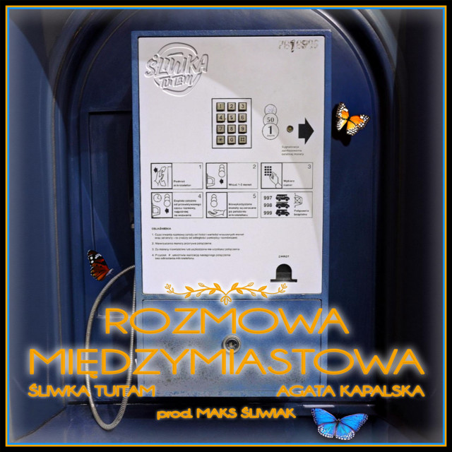 Rozmowa międzymiastowa album image