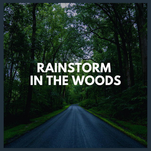 Rainstorm in the Woods cover art