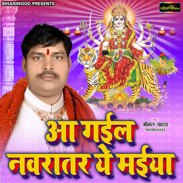 Aa Gail Navrat Ae Maiya cover