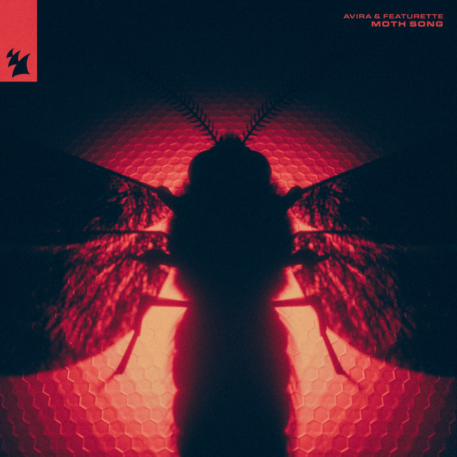 Album art for Moth Song