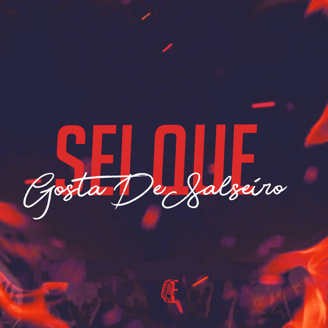 Sei Que Gosta De Salseiro