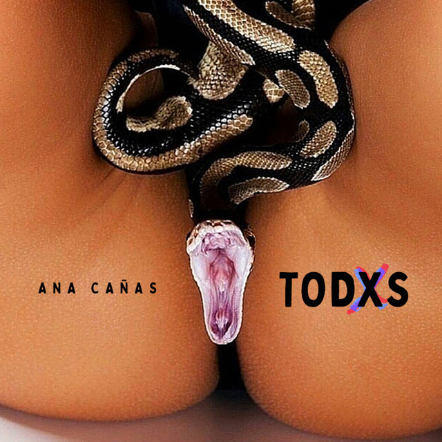 TODXS cover art
