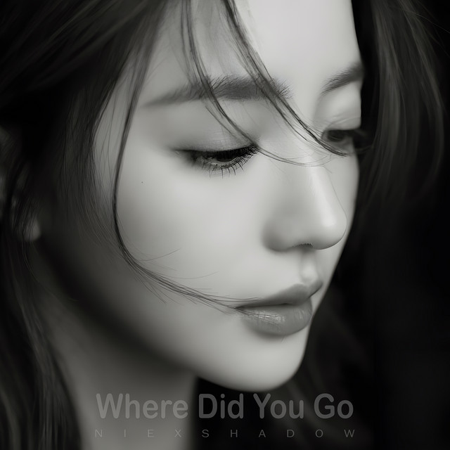 Where Did You Go cover art