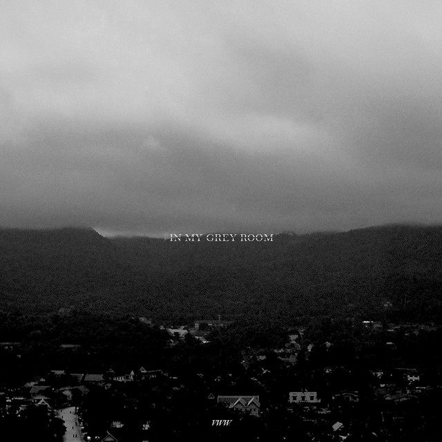 In my Grey Room cover art