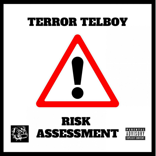 Risk Assessment cover art