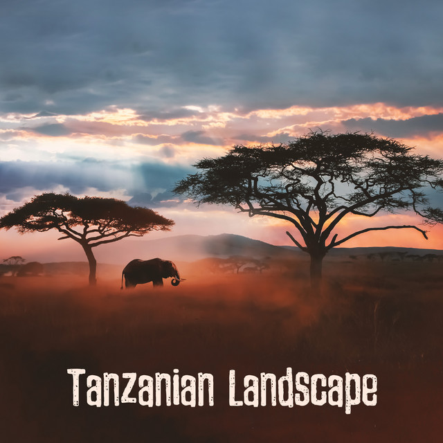 Tanzanian Landscape (Relaxing African Music with Kalimba) cover art