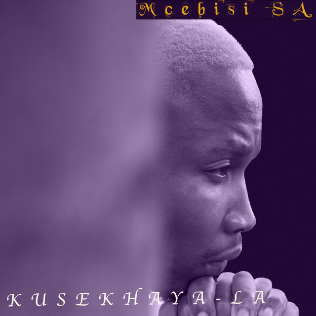 MCEBISI SA