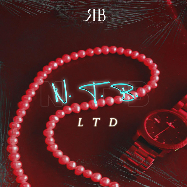 N.T.B cover art