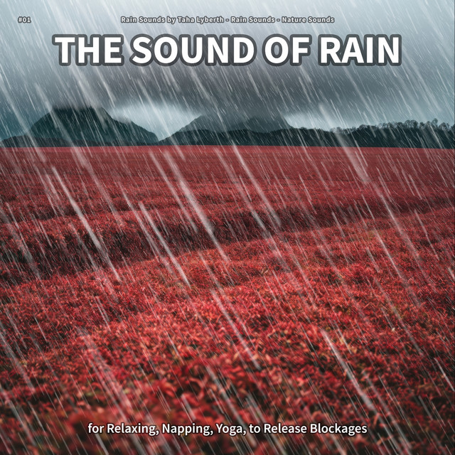 #01 The Sound of Rain for Relaxing, Napping, Yoga, to Release Blockages cover art