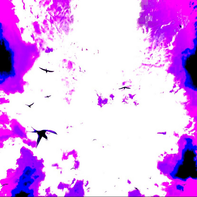 Double U cover art