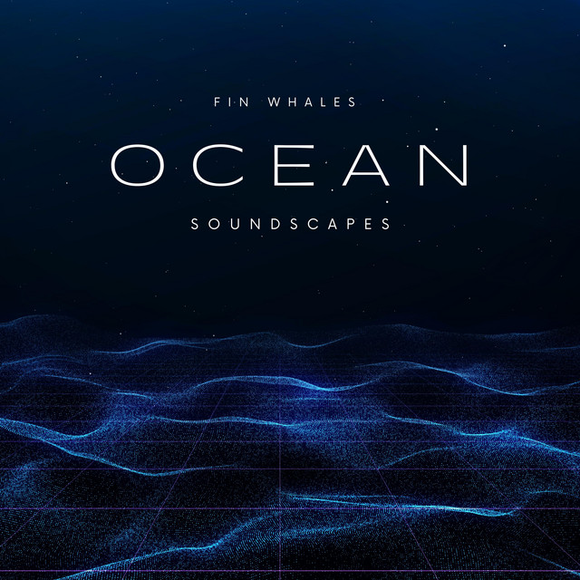 Fin Whales Ocean Soundscapes cover art