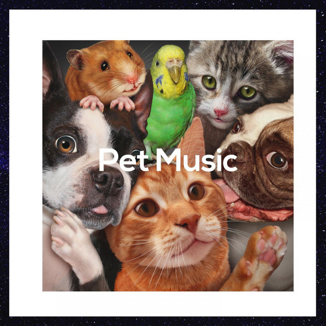Pet Music cover art