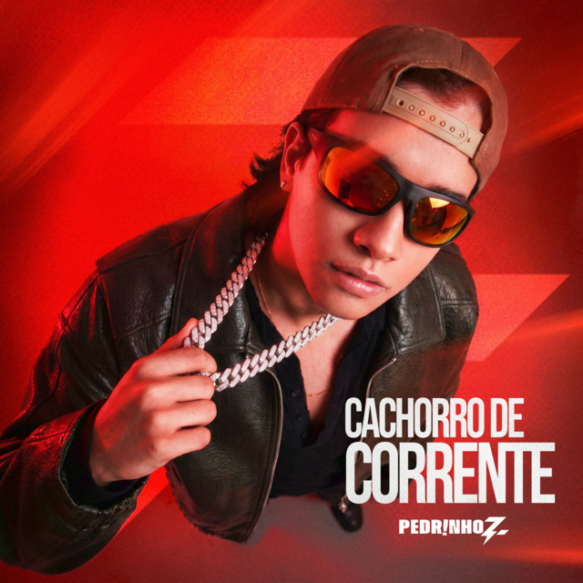 Cachorro de Corrente