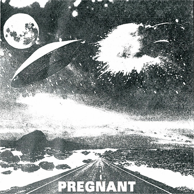 Pregnant cover art