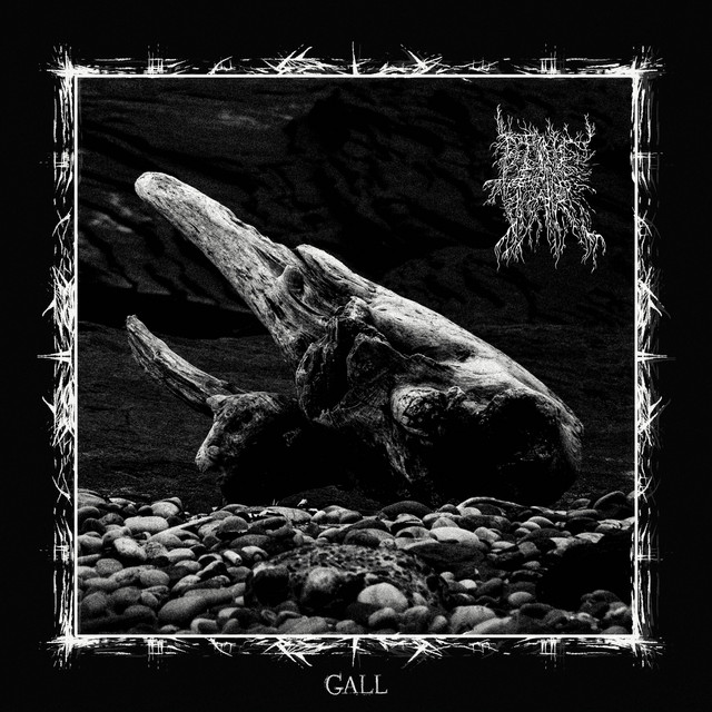 Gall cover art