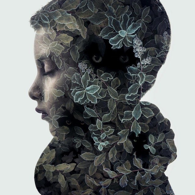 Inpulses