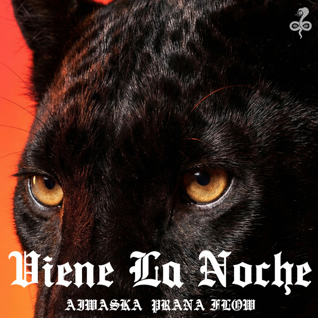 Viene La Noche - YES TO ALL Club Extended Remix album art