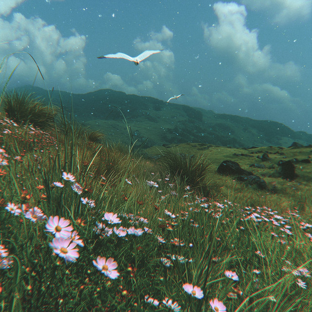 in a bloom cover