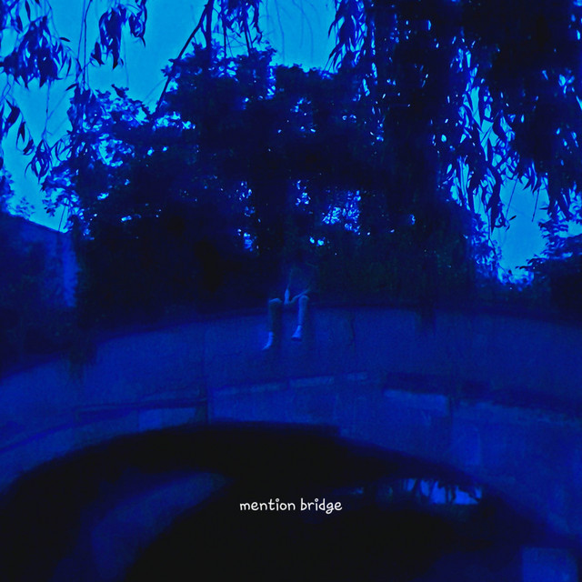 Cover art: mention bridge — nexist