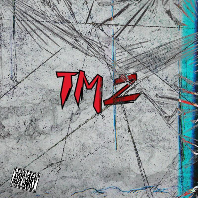 tmz-album-by-lil-zi-spotify