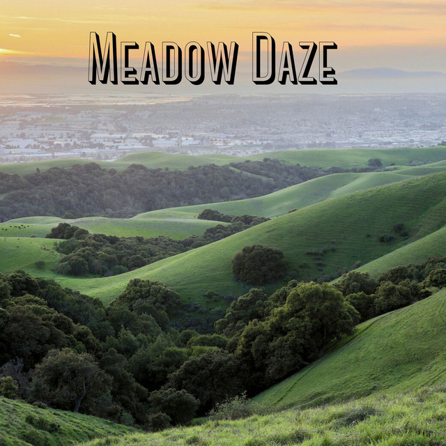 Meadow Daze cover art