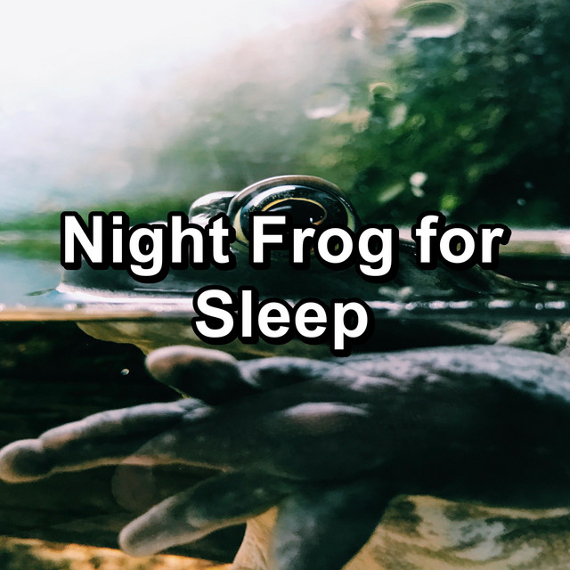 Night Frog for Sleep cover art