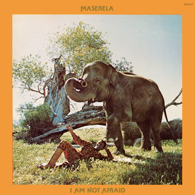 Cover du titre Night In Tunisia